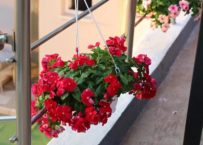 Elarad Pensionat Vlorë